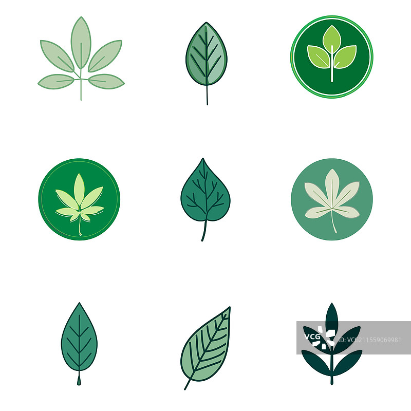 一组绿色叶子图标，几何叶子符号图片素材