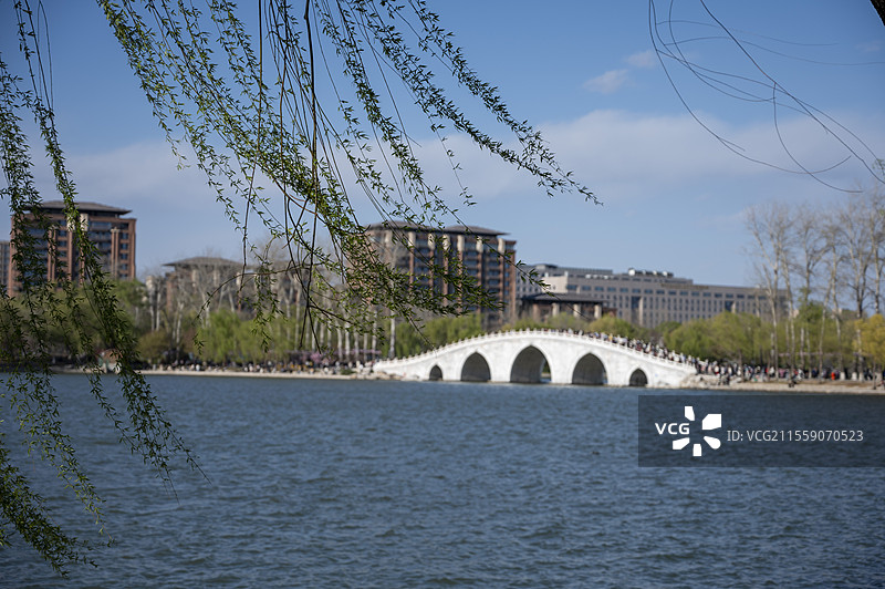 春日的北京，游客接踵而至玉渊潭公园，赏美景，看樱花，生机盎然图片素材