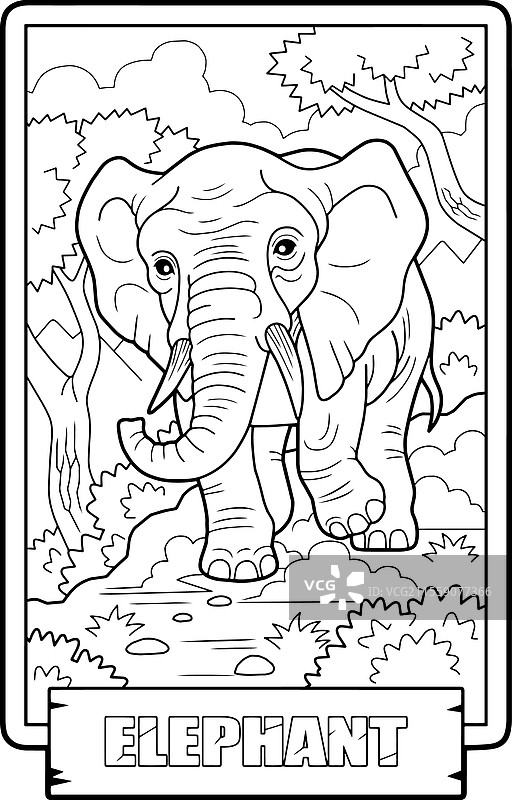 非洲象涂色页图片素材