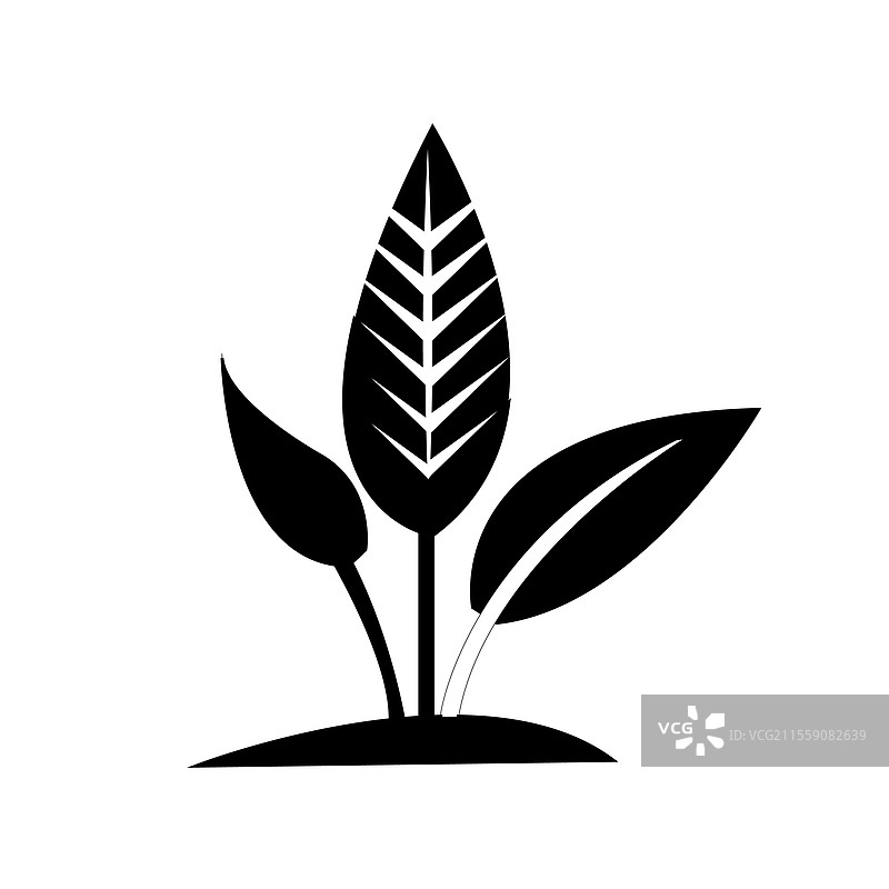 叶子图标集图片素材