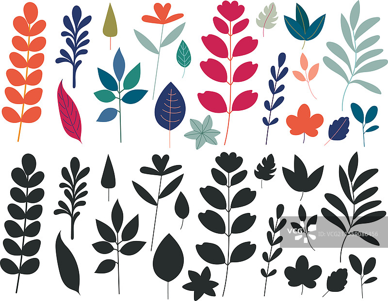 白色背景上的植物组合图片素材