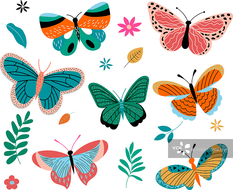白色背景上的蝴蝶组合图片素材