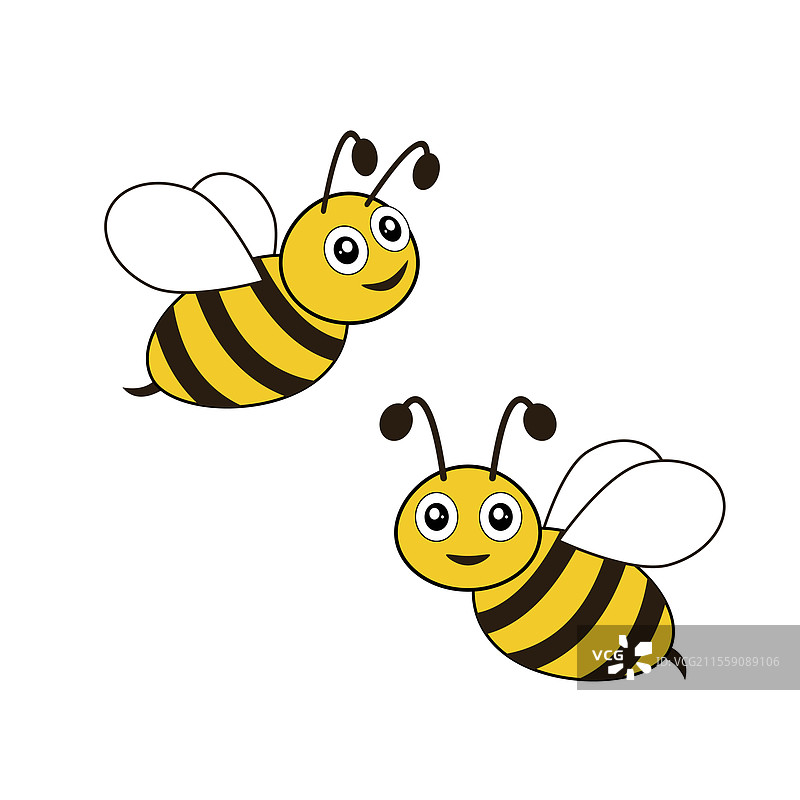 一只黄黑相间的蜜蜂停在白色背景上图片素材