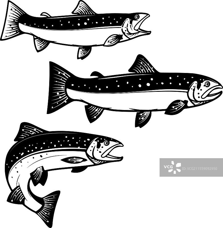 鲑鱼轮廓设计元素集用于标志图片素材