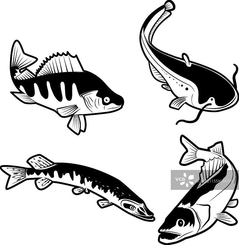 河流鱼类的鱼标志设计集图片素材
