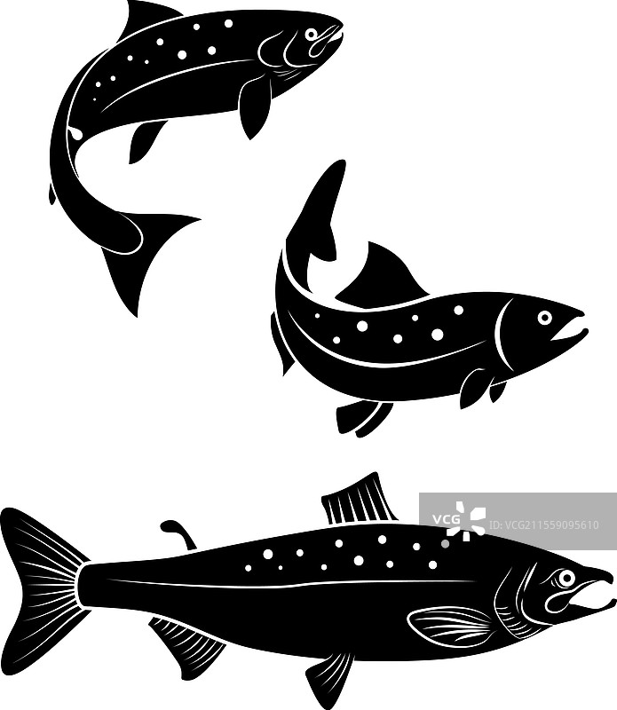 一组鲑鱼在白色背景上孤立展示图片素材