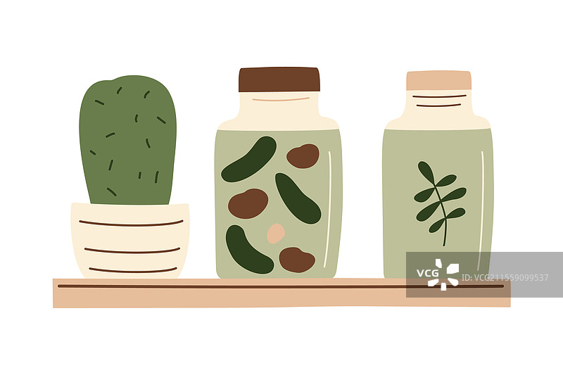 货架上一排罐头食品和仙人掌图片素材