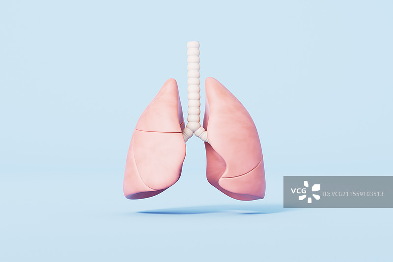 三维渲染蓝色背景下的肺部图片素材