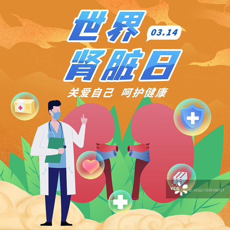 世界肾脏日医疗养肾护肾肾衰竭人体内科结构肾脏图片素材