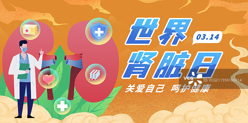 世界肾脏日医疗养肾护肾肾衰竭人体内科结构肾脏图片素材