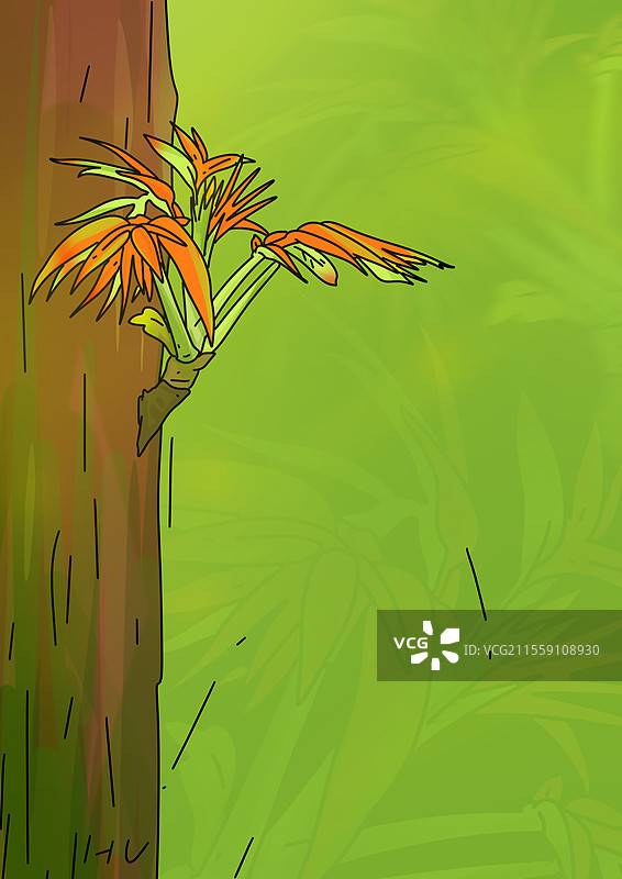 春天 节气 谷雨 治愈系 插画 植物 特写图片素材