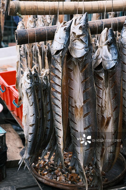 江西赣州宋城古浮桥水产品市场图片素材