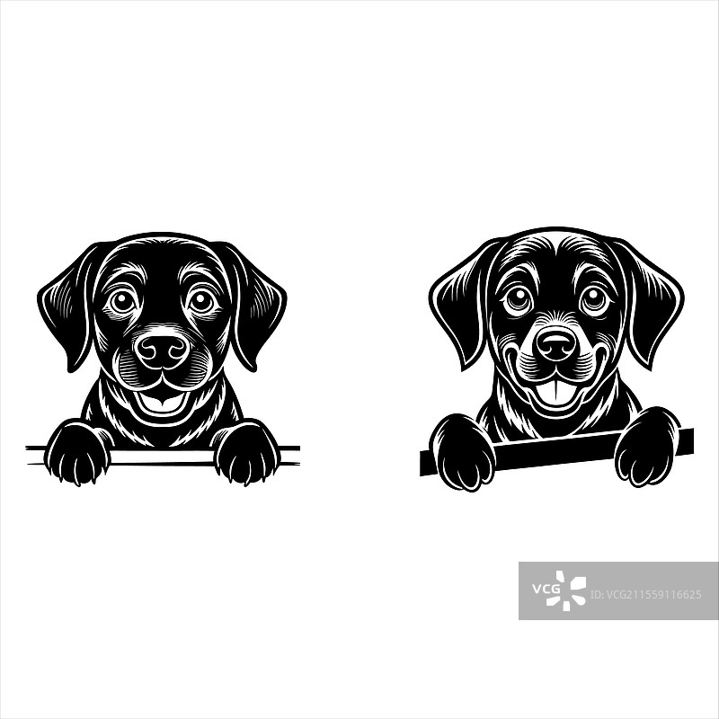 波尔多犬图片素材