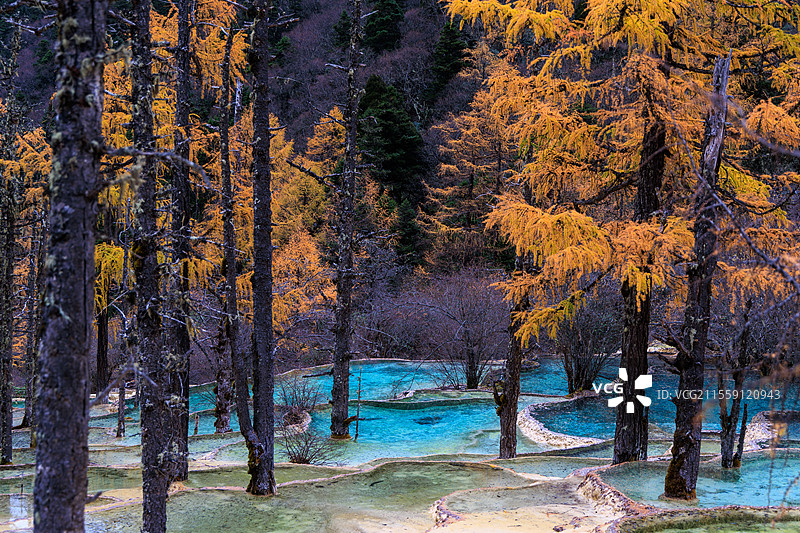 四川九寨沟黄龙景区五彩池争艳池映月池迎宾池图片素材