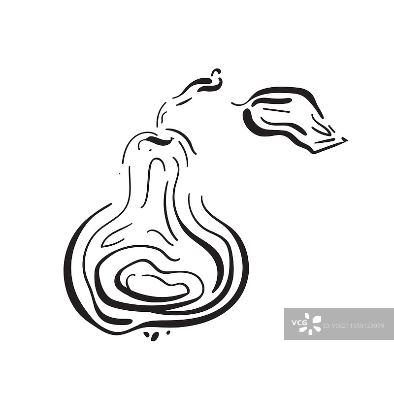 带有黑色线条的梨果元素图片素材