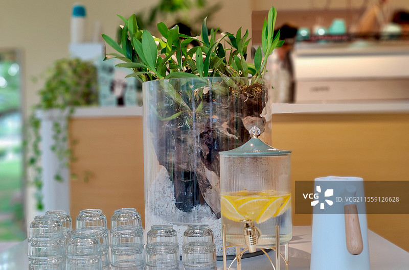 咖啡厅柠檬水图片素材