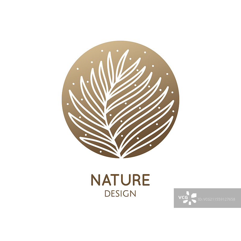 热带植物标志轮廓，异国情调的徽章图片素材