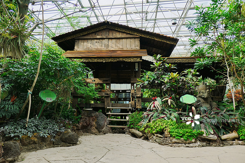 常州花博园，自然馆，植物馆，室内植物，热带植物馆，植物园，林间小木屋图片素材