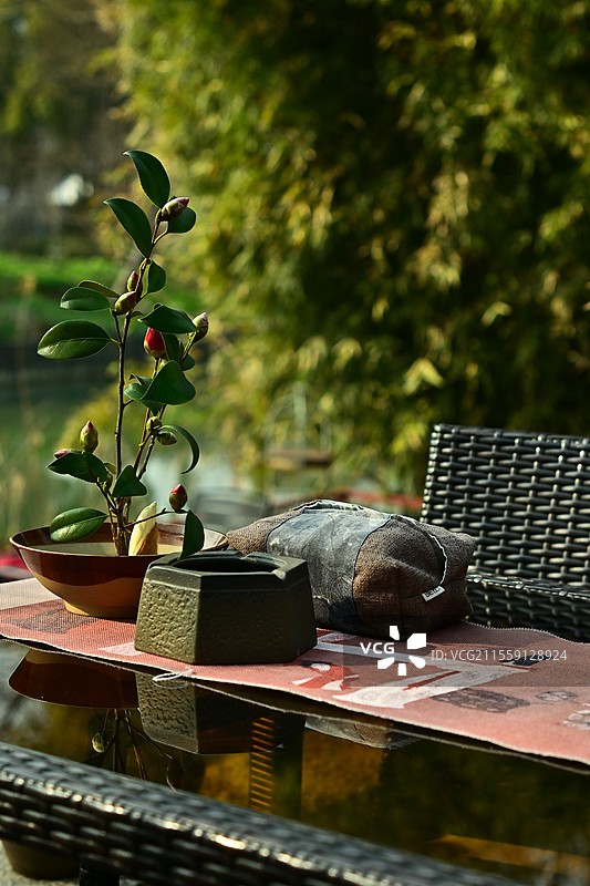 春季花苞特写图片素材