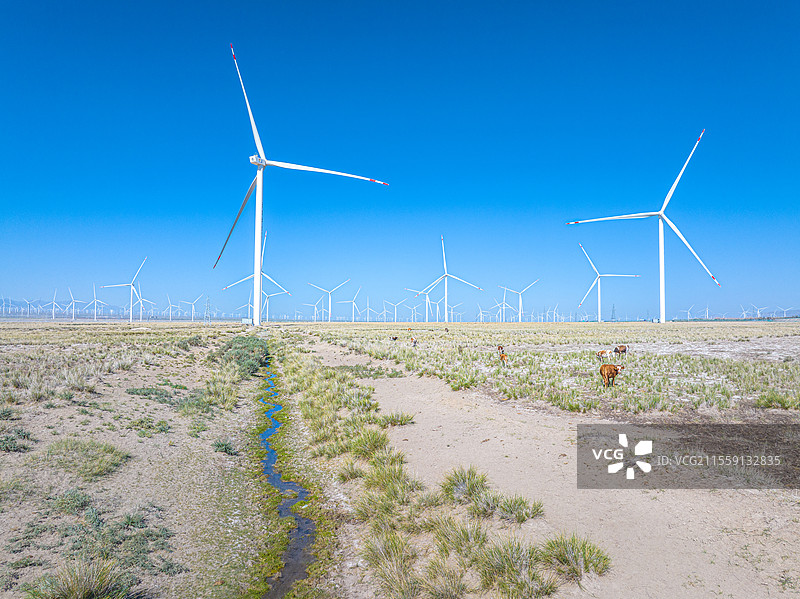 乌鲁木齐柴窝堡湿地 风车 野马 戈壁滩图片素材