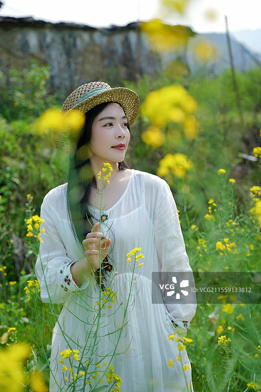 山花烂漫图片素材