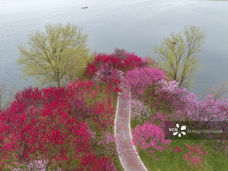 航拍襄阳登云湖风景区马冲水库桃花岛春天自然风光图片素材