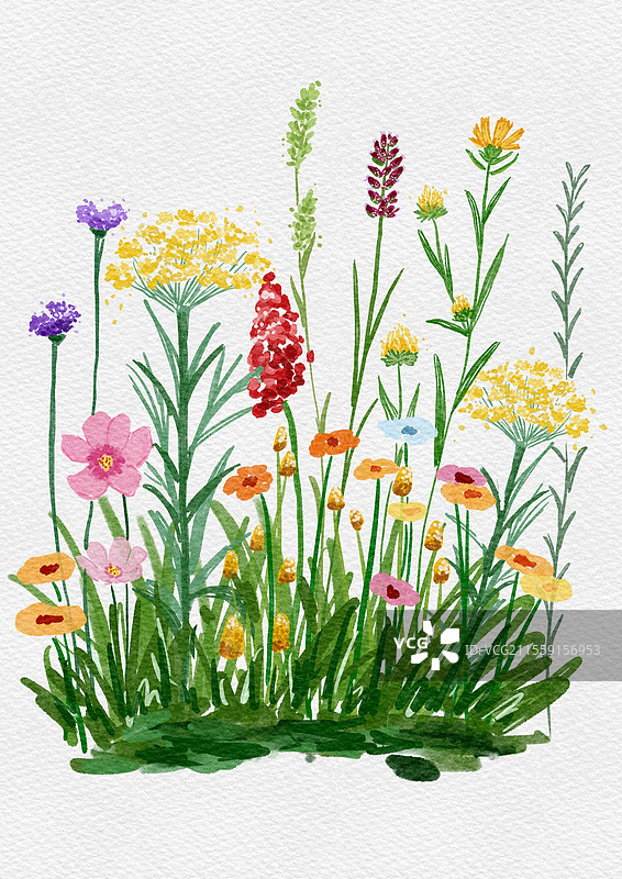 春天野外花簇治愈插画图片素材