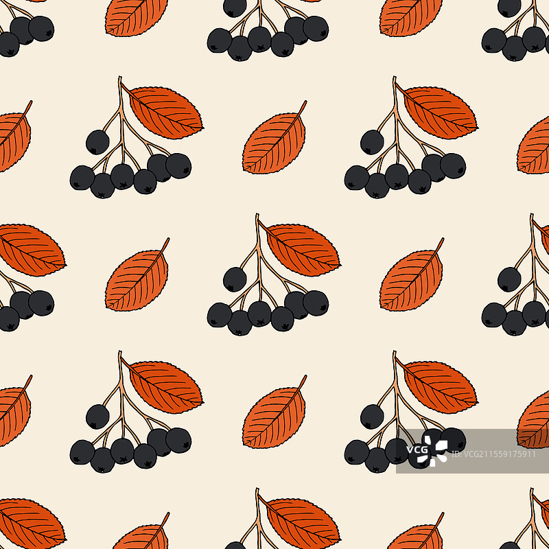 无缝图案，带有白色的阿罗尼亚树枝和图片素材