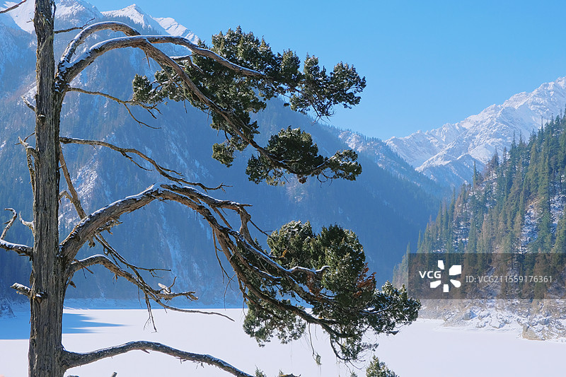 孤掌自鸣图片素材