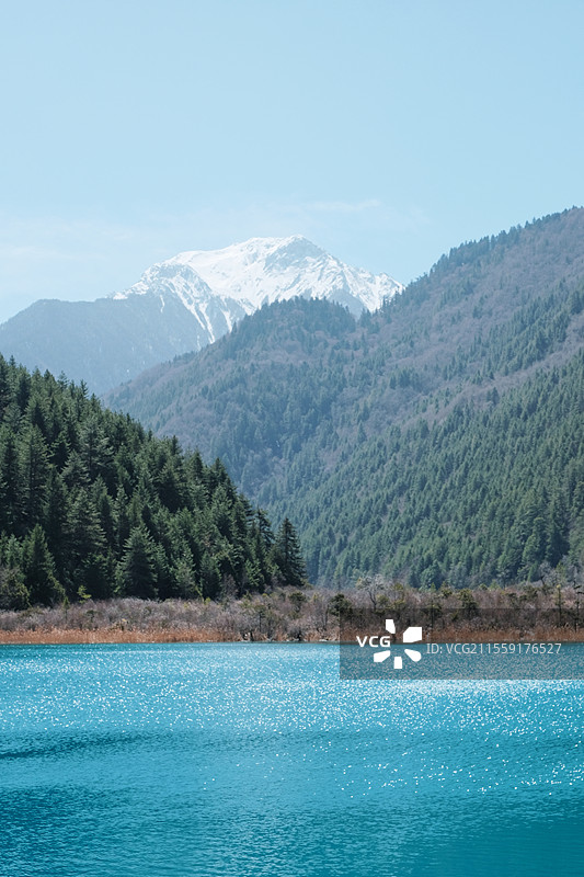 自然之梦图片素材