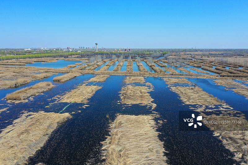 华北明珠美璀璨，万顷琉璃映碧天芦苇藏莺歌福地，雄安崛起焕韶妍舟横古渡云霞接，雁鹭舞波画意连图片素材
