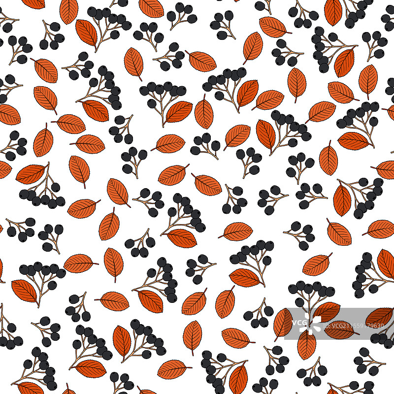 无缝图案，带有白色阿罗尼亚树枝和图片素材