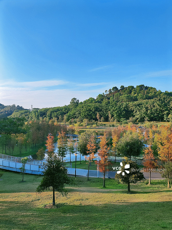 生态园图片素材