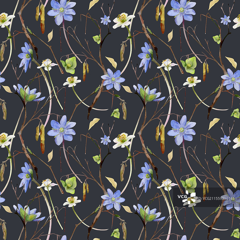 带有猫耳花的春天花朵和蓝色肝花的树枝图片素材