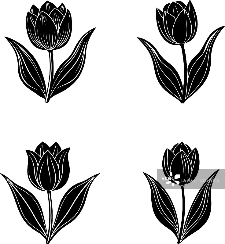 黑色郁金香剪影集图片素材