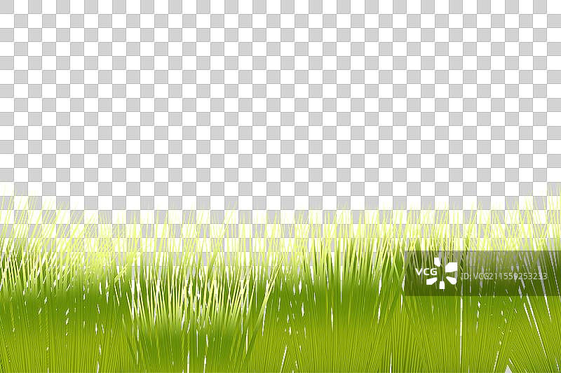 绿色草坪图片素材