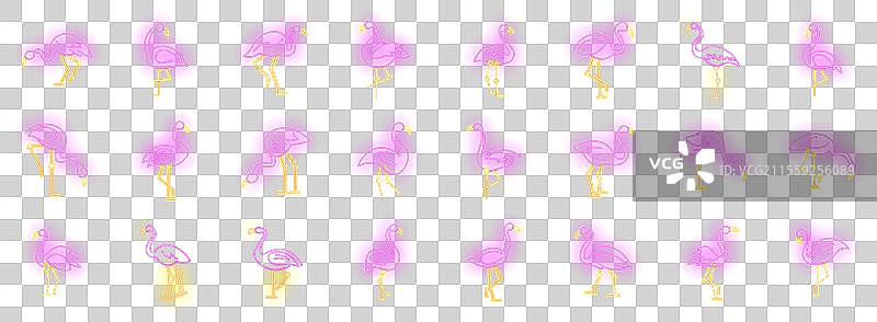 霓虹色火烈鸟图标集图片素材