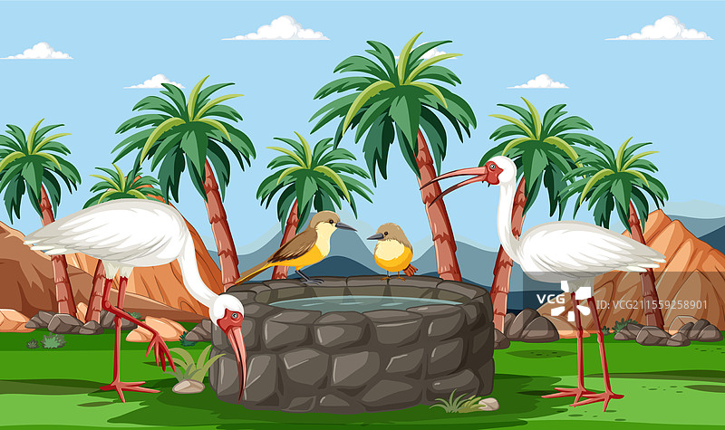 热带地区的五彩鸟类在水坑相遇图片素材