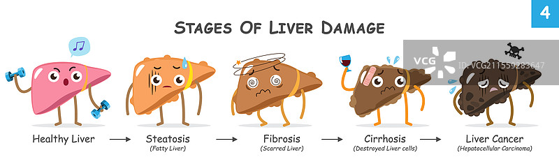 肝损伤的阶段可爱集合图片素材