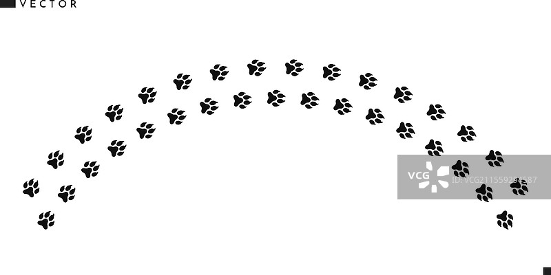 狼的足迹图片素材