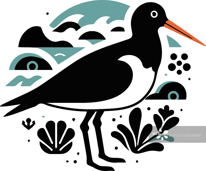 牡蛎捕鸟的鸟类剪影图片素材