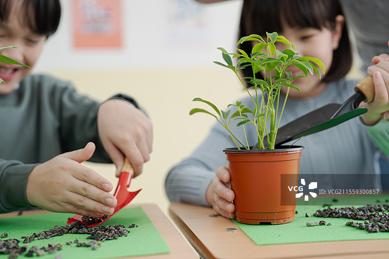 小学，基础教育，庆祝，植树节，植树图片素材