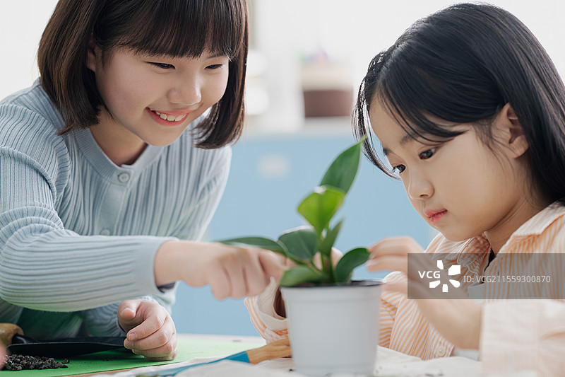 小学，基础教育，庆祝，植树节，植树图片素材