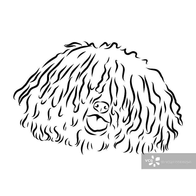 极简主义普利犬标志设计现代线条艺术图片素材