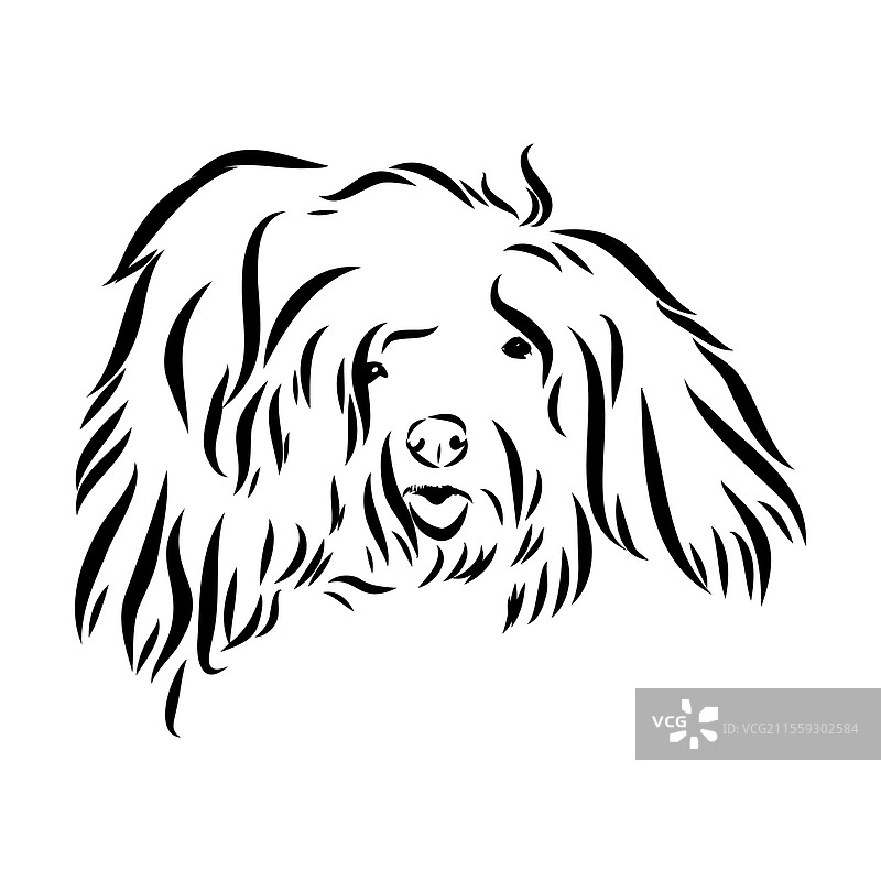 极简主义普利犬标志设计现代线条艺术图片素材