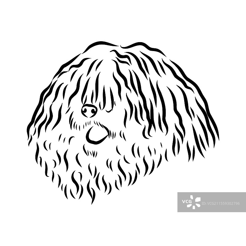 极简主义普利犬标志设计现代线条艺术图片素材