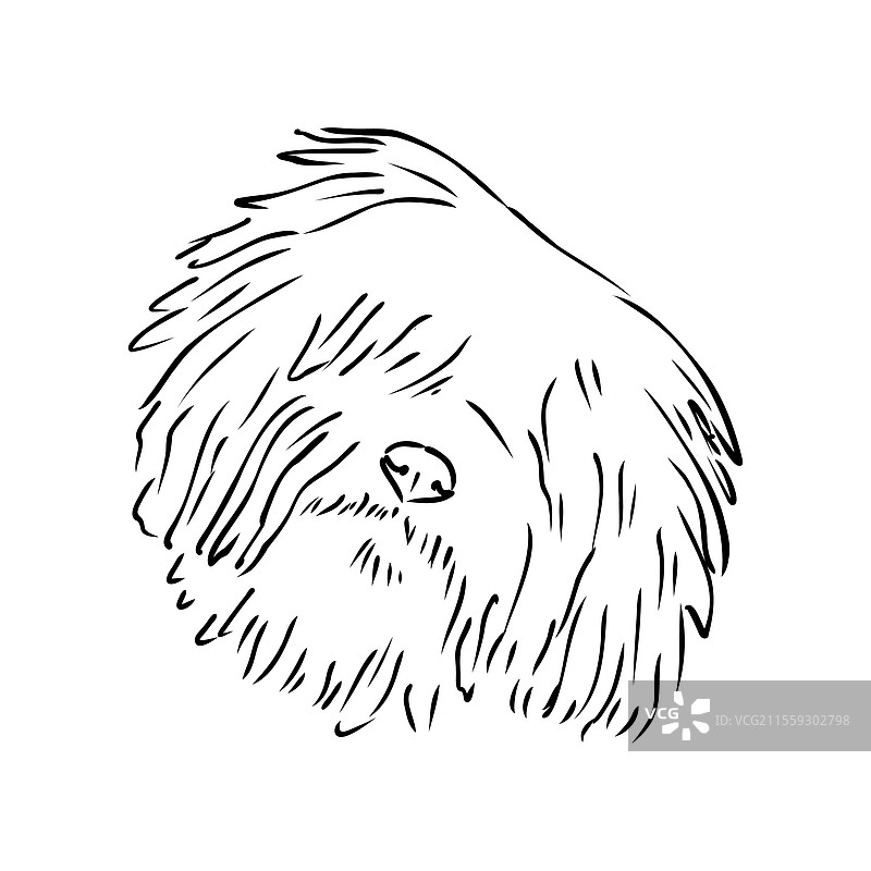 极简主义普利犬标志设计现代线条艺术图片素材