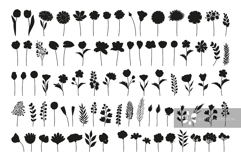 野花、花卉和草药的剪影图片素材