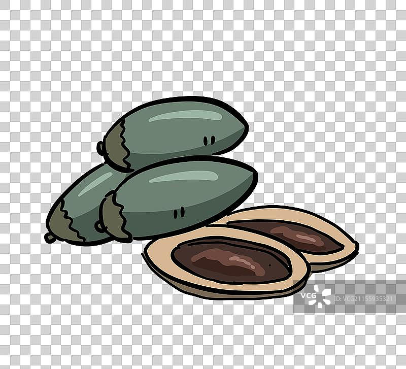 槟榔果图片素材