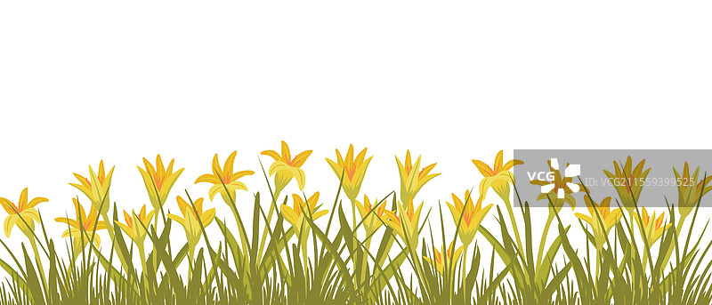 绘制野花图片素材